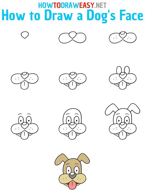 How To Draw A Dogs Face For Kids How To Draw Easy