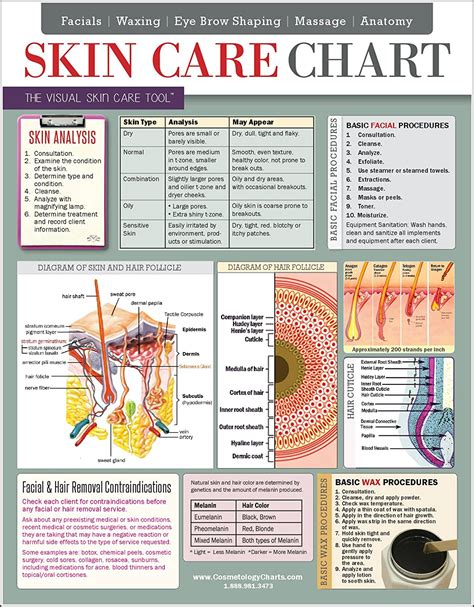 Skin Care Chart 2 Sided Laminated Quick Reference Guide Covers Skin Care Services From
