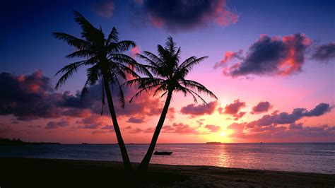Background Sunset Pantai Homecare24