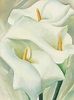 Georgia O'Keeffe (1887-1986) , Calla Lilies | Christie's