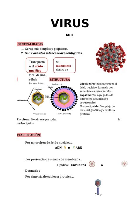 Las Generalidades De Los Virus Esquemas Y Mapas Conceptuales De