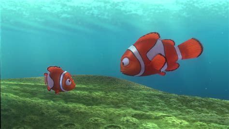 Image Finding Nemo 1365 Disney Wiki