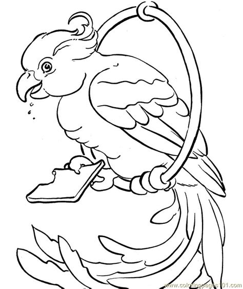 113 Best Images About Kids Zoo Printables Coloring Pages Clip Arts On