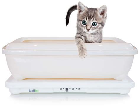 A Litter Box That Monitors The Health Of Your Cat Cat Training Cat