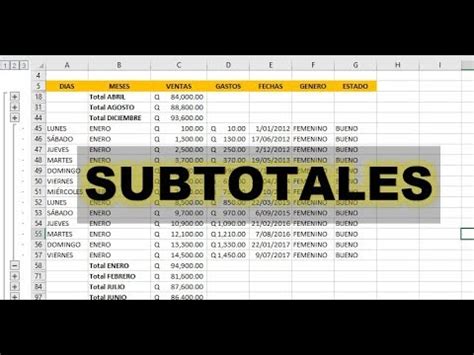 Como Hacer Subtotales En Excel Youtube