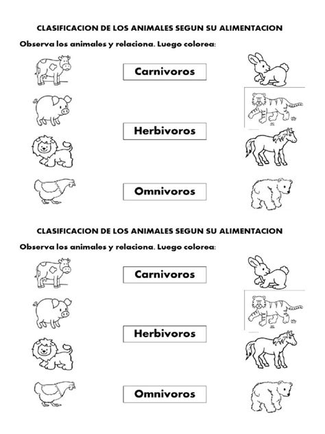 Clasificacion De Animales Segun Su Alimentacion Pdf