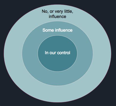 Circles Of Influence And Control An Issue Management Technique