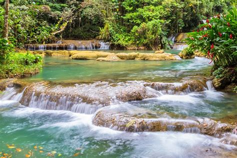 12 Mejores Cascadas En Jamaica Bookineo