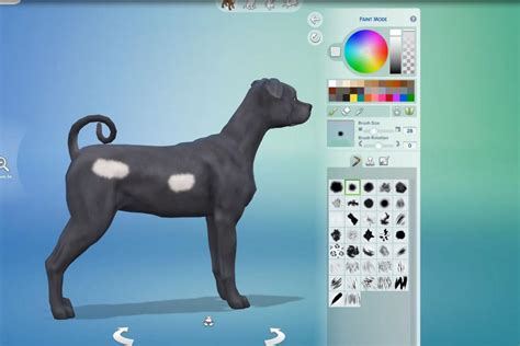 How To Build A Dog House Sims 4