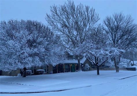 Here's what you missed from Texas' snow day