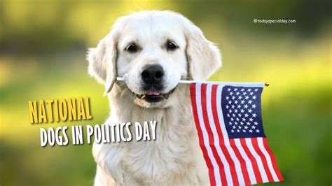 National Dogs In Politics Day September 23 History Celebrate And Quotes