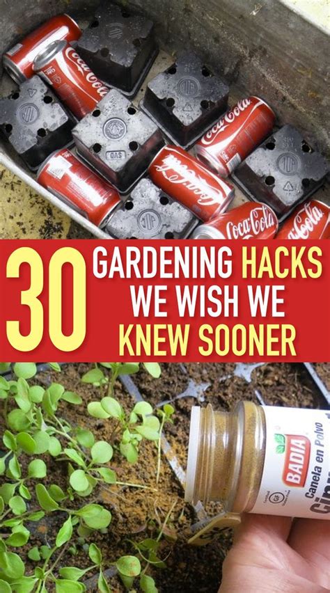 20 gardening hacks using household items you probably already own gardening tips container