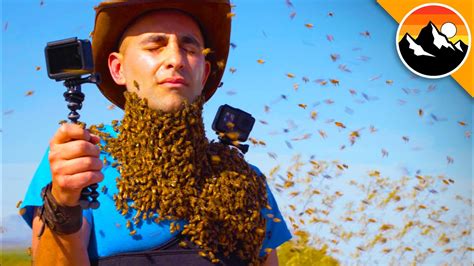 Bee Beard Fail Youtube