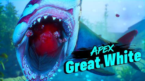 Text message today 4:49 pm movie concept: Bull Shark Vs Apex Great White Shark Fight (Maneater ...