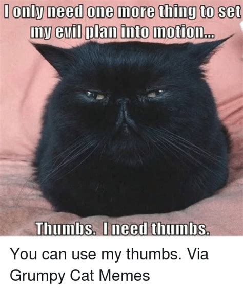 25 Best Memes About Grumpy Cat Meme Grumpy Cat Memes