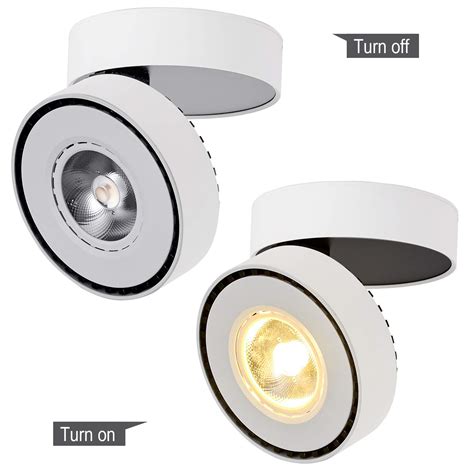 Drlazy Indoor 12w Led Adjustable Ceiling Spots Ceiling Lamp Ceiling