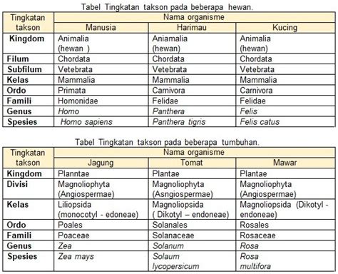 Detail Contoh Taksonomi Tumbuhan Koleksi Nomer 4