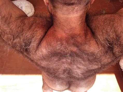 Men With Very Hairy Pubes Xxx Porn