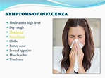 PPT - Influenza: Symptoms, causes, treatment and prevention PowerPoint ...