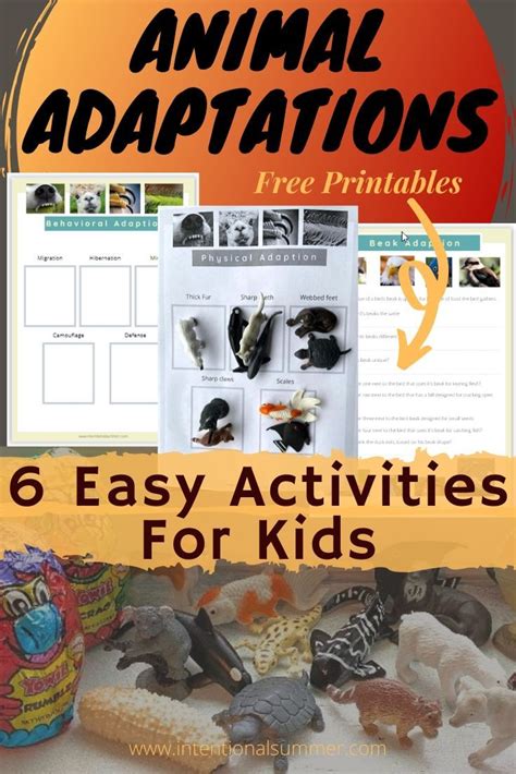 Homeschool Hands On Activities For Kids Animal Adaptations Animal