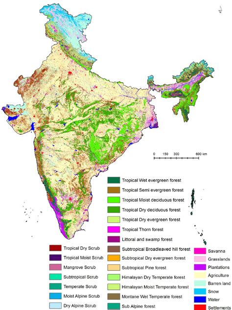 Vegetation Type And Land Useland Cover Map Of India Download