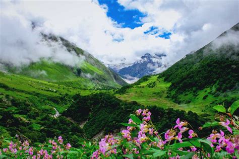 Valley Of Flowers National Park Photos And Best Time To Visit
