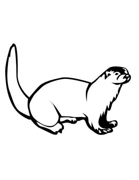 Otter Coloring Pages Best Coloring Pages For Kids