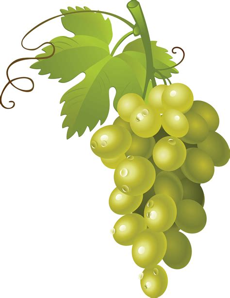 Grape Clipart Png Picpng