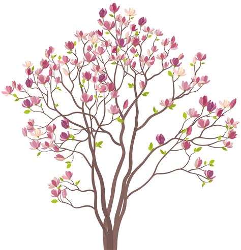 Magnolia clipart magnolia flower, Magnolia magnolia flower Transparent FREE for download on ...