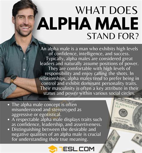 Alpha Male Meaning What Does Alpha Male Mean 7esl