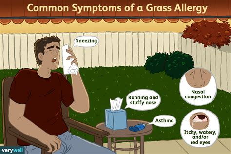 Symptoms And Treatment Of Grass Allergy