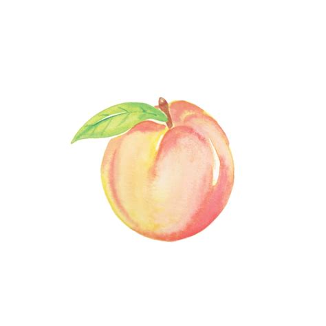 Watercolor Peaches Kitchen Printable Art Instant Digital Etsy