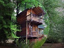 Conservative Treehouse