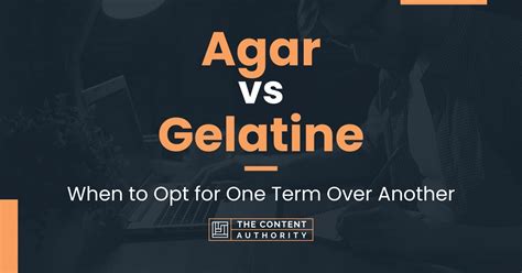 Agar Vs Gelatine When To Opt For One Term Over Another