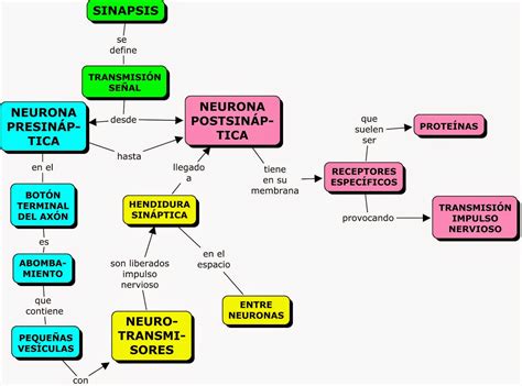 MAPA CONCEPTUAL DEL SISTEMA NERVIOSO CENTRAL