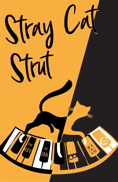 Bandh Stray Cat Aurca Studios