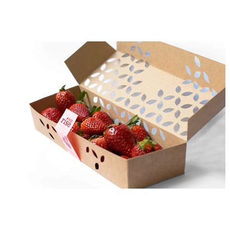 Fruit Vegetable Packing Packaging Corrugated Cardboard Paper Carton