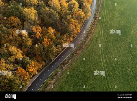 Fall Foliage Of The Forest And A Road Aerial View Of Autumn Colors Of