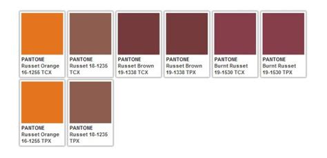 Browns Pantone Colour Palettes Pantone Color Theory