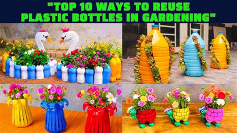 Top 10 Ways To Reuse Plastic Bottles For Gardening Youtube