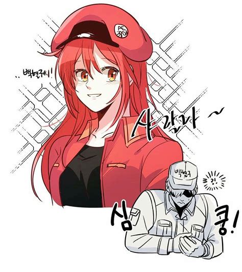 Cells At Work White Blood Cell X Red Blood Cell Anime Was A Mistake
