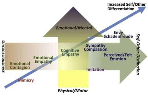 Empathy V Ways Of Knowing Mind Strength Balance