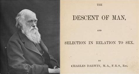Books And Films The Descent Of Man And Selection In Relation To Sex By Charles Darwin