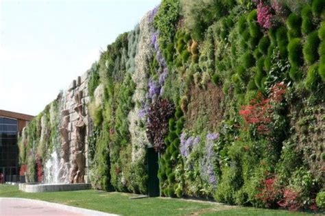 Succede al fiordaliso di rozzano, in provincia di milano: El jardín vertical más grande del mundo Ha sido inaugurada ...