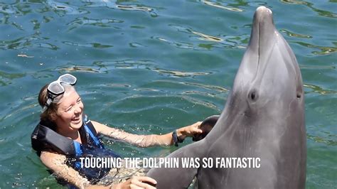 Dolphin Quest Hawaii Guest Testimonials Youtube