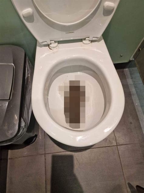 Bowel Splitting Goliath Turd Uncovered At Uk Motorway Services Sets