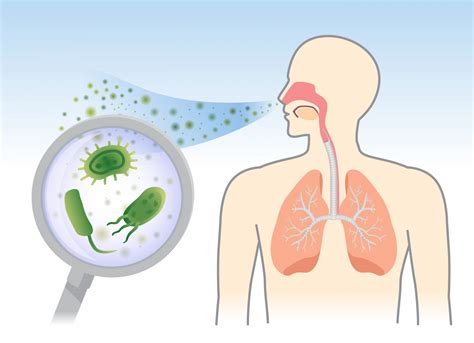 Diverse Types Of Staphylococcus Aureus Found In Airways Of Cf Patients