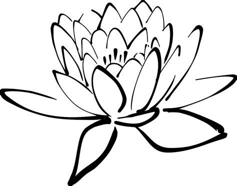 SVG > blossom flower lotus - Free SVG Image & Icon. | SVG Silh