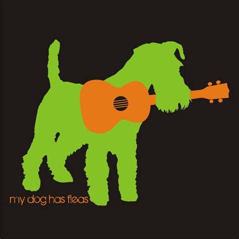 Items Similar To My Dog Has Fleas Sticker On Etsy Ukulele Music