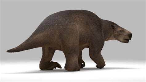 3d Glossotherium Extinct Ice Turbosquid 1295512